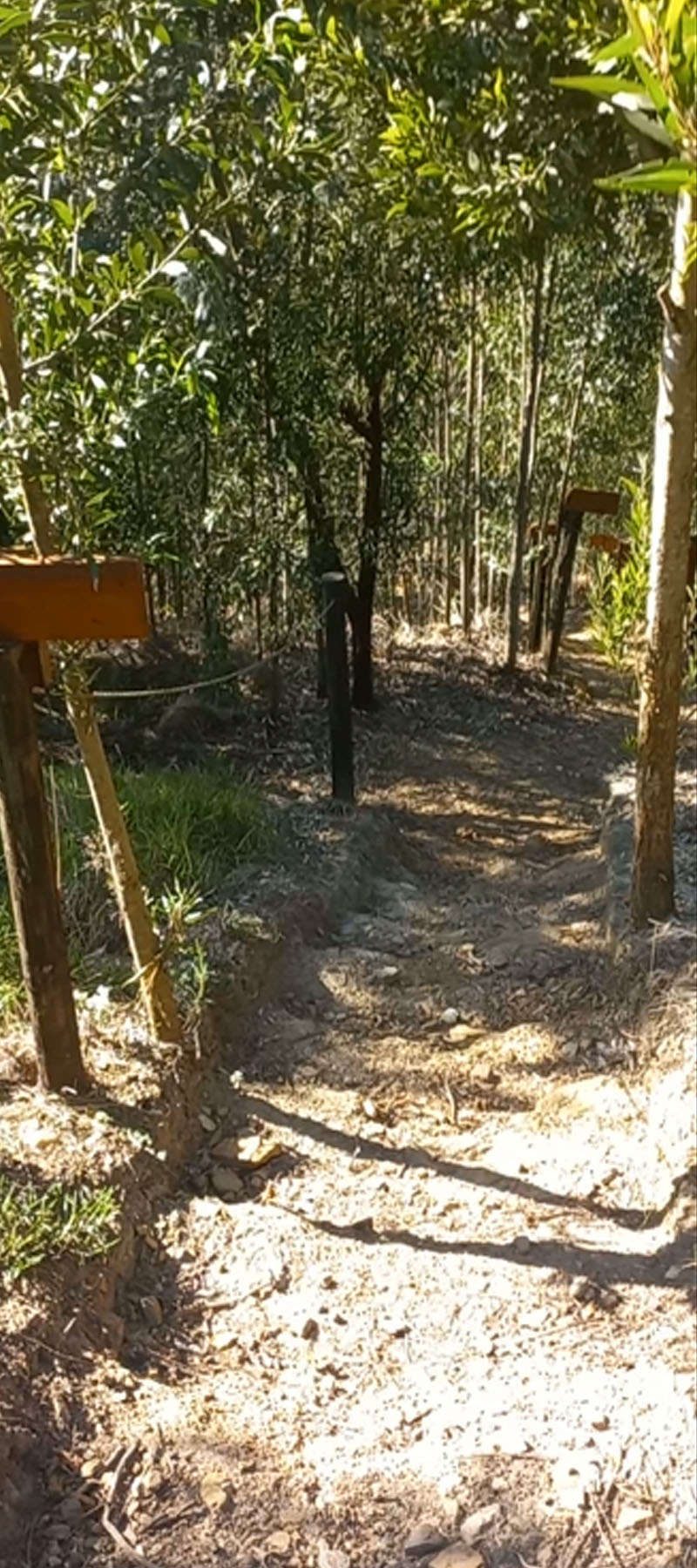 10 Bedroom Property for Sale in Hoekwil Western Cape